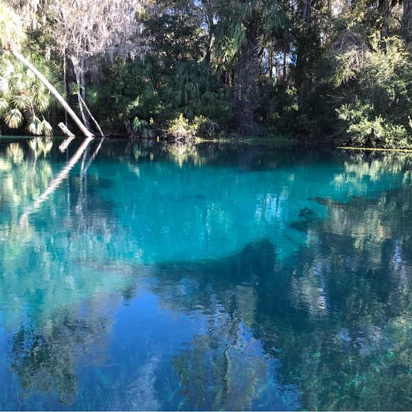 Meet your Posher, Rebecca - Picture 2 of 10